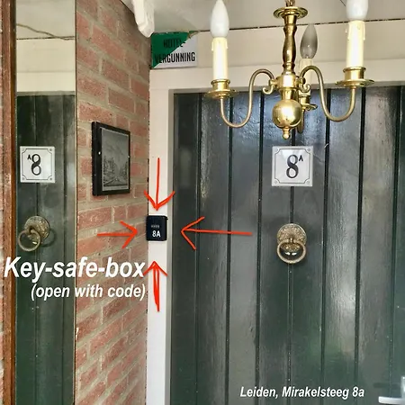 Number 8 * Leiden