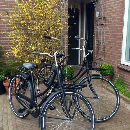 Apartment Number 8 Leiden