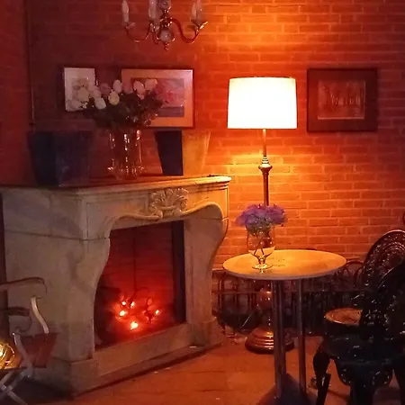 Number 8 * Leiden